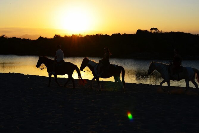 2-Hour Horseback Riding Tour at Sunset from Punta Cana - Quick hits before you book