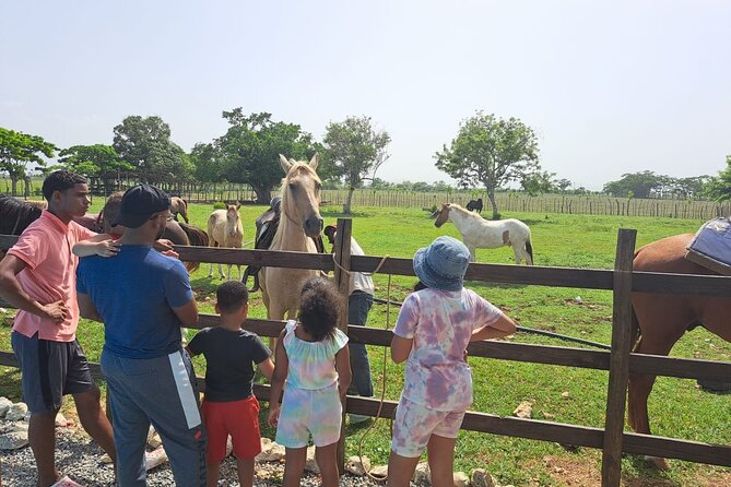 2-Hour Horseback Riding Tour at Sunset from Punta Cana - Macao Beach for breezes, photos, and a possible swim