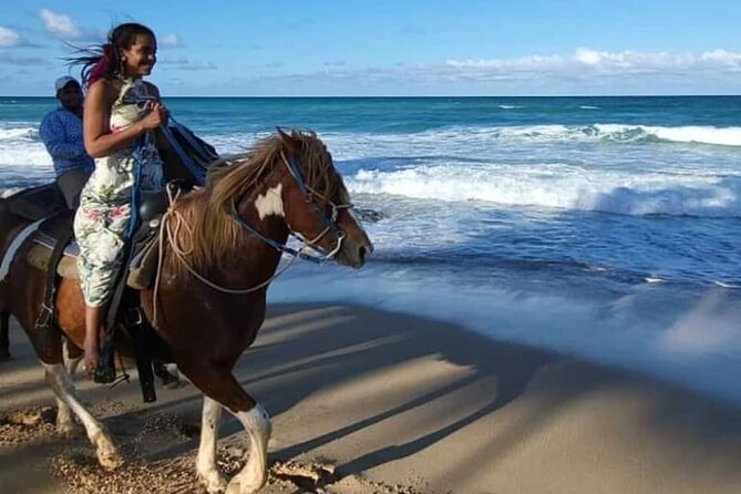 2-Hour Horseback Riding Tour at Sunset from Punta Cana - Price and value: is $77.95 worth it?