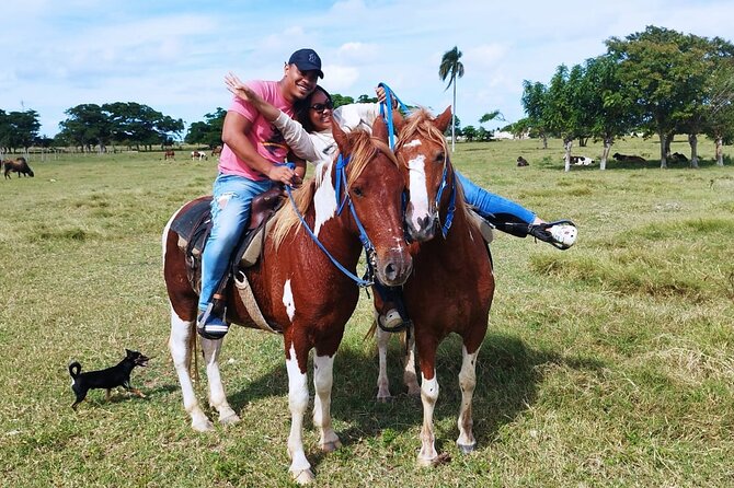 2-Hour Horseback Riding Tour at Sunset from Punta Cana - The ride setup: horses, equipment, and real safety