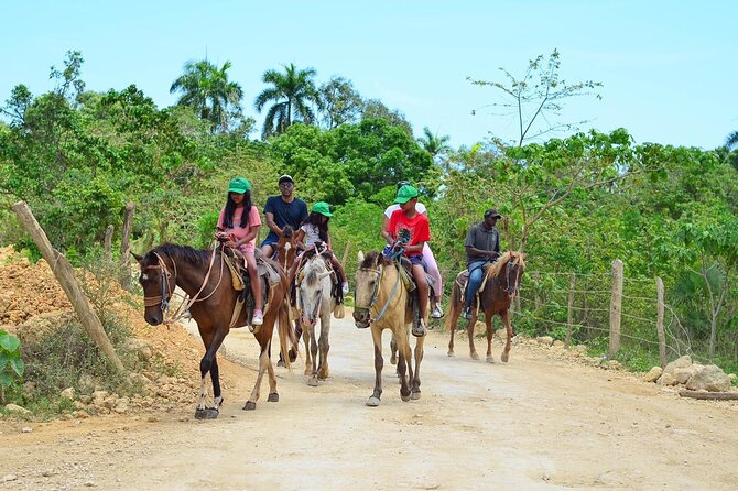 2-hour sunset horseback ride from Punta Cana - Horses, Guides, and the Kind of Attention That Matters