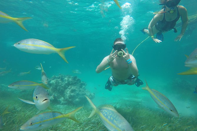 3 ADVENTURES: Sailing Catamaran Cruise - Hooka Diving - Snorkeling - Entering the day: pickup, meeting point, and that 2:00 pm start