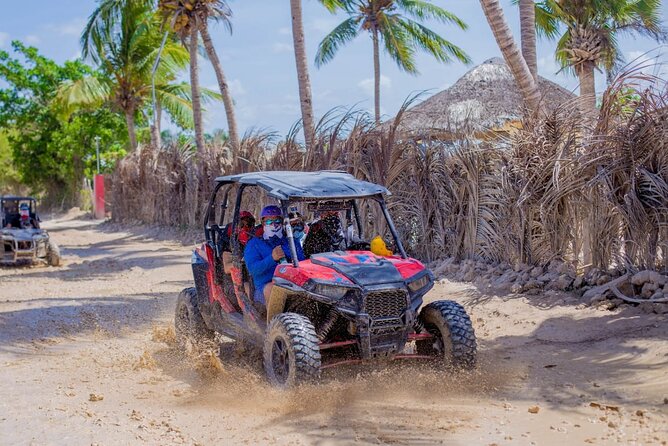 3-Hour Extreme Buggy Tour of Punta Cana - Stop 2, Taino creek cenote: the water break you will remember