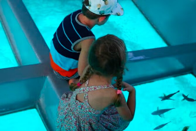 3 hrs Glass Boat Tour in Punta Cana - Key Highlights to Know Before You Go