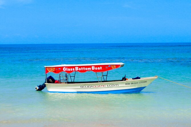 3 hrs Glass Boat Tour in Punta Cana - Snorkeling for 30 Minutes: Fun Time, Quick Turnover