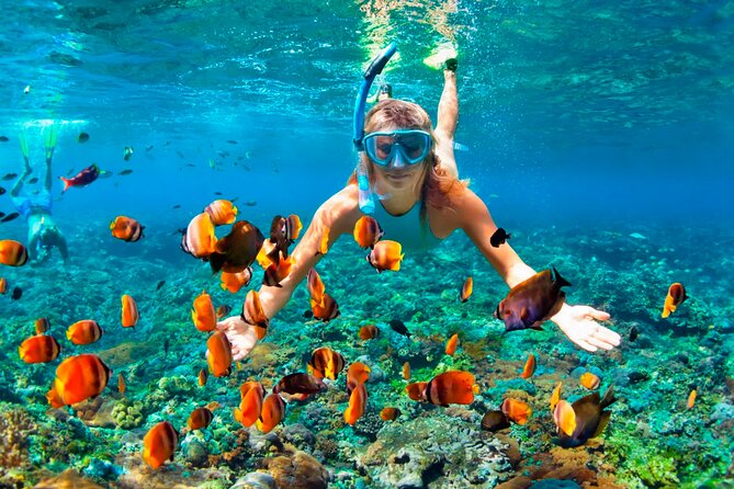 3 hrs Glass Boat Tour in Punta Cana - The Natural Pool Stop: The Part You Should Budget Energy For