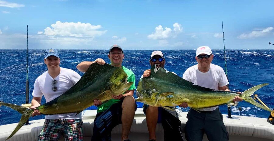 4 hour deep sea fishing experience from punta cana - Key Highlights You Actually Feel on the Boat