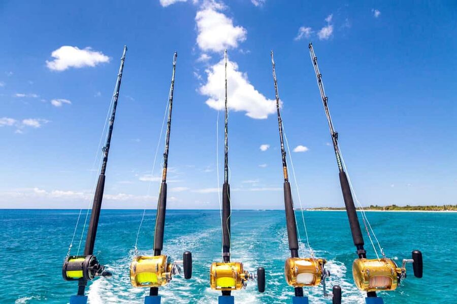 4 hour deep sea fishing experience from punta cana - What This Punta Cana Deep Sea Trip Is Really Like (Trolling, Not Sit-and-Wait)