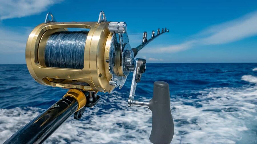 4 hour deep sea fishing experience from punta cana - Price and Value: Why $100 Can Be Worth It (If You Match the Mood)
