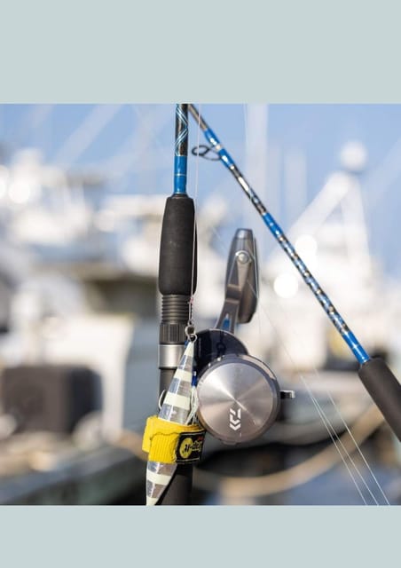 4 hour deep sea fishing experience from punta cana - Weather, Timing, and a Quick Reality Check