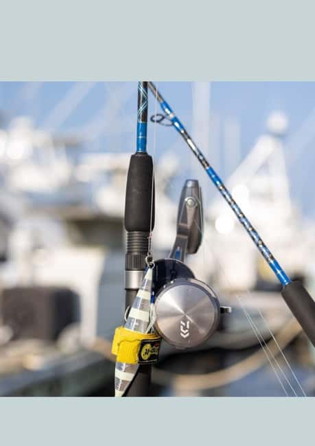 4 hour deep sea fishing experience from punta cana - Who This Punta Cana Fishing Trip Fits Best