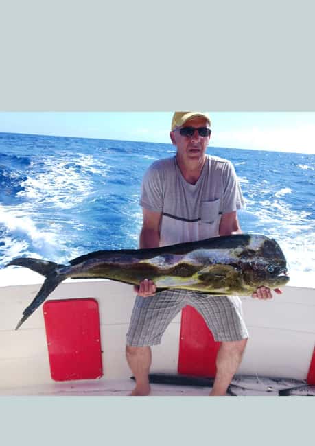 4 hour deep sea fishing experience from punta cana - The Big Species Targets, and What They Mean for Your Chances