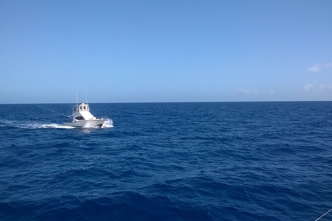 4 Hour Punta Cana Fishing Tour - Getting to the boat: hotel pickup, base transfer, and how to plan your day