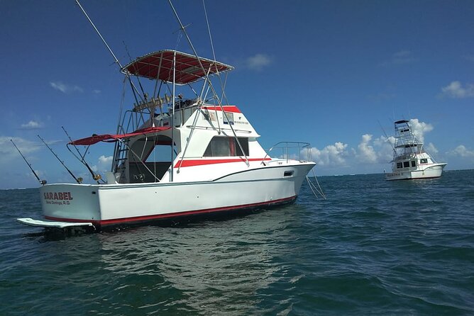 4 Hour Punta Cana Fishing Tour - Species you might target in season: mahi mahi to marlin and wahoo
