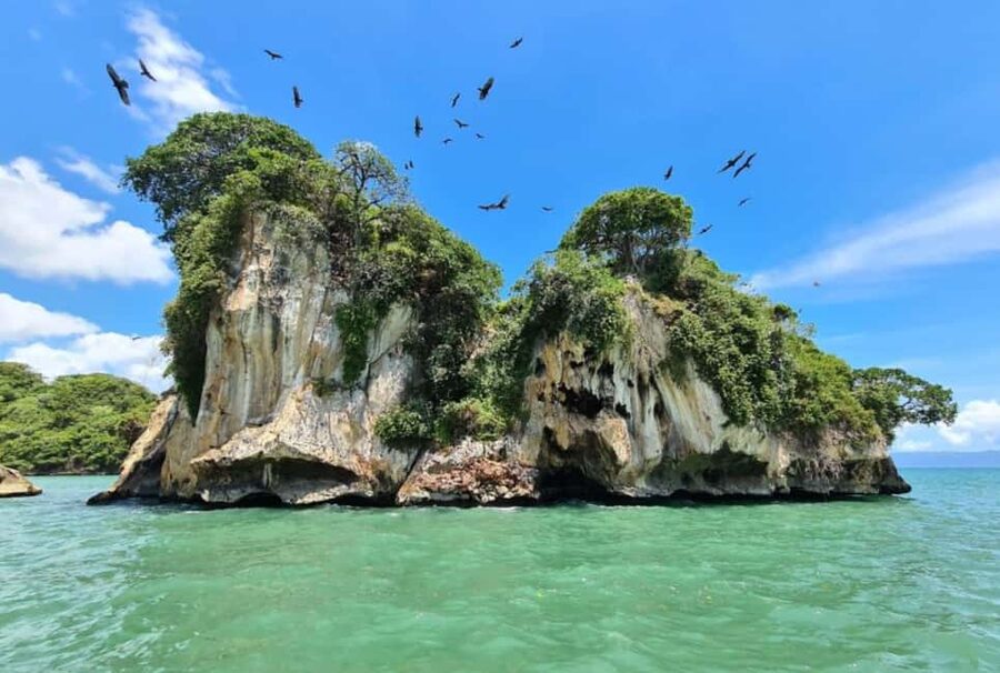 4in1: Los Haitises+ Kayaking+ Natural Pools+ Montana Redonda - Who Should Book, and Who Should Skip