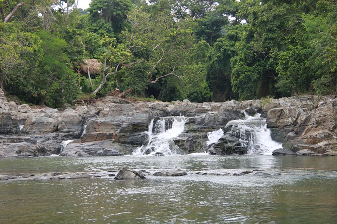 5 Tours of Jungle and Dominican Culture with Lunch - Riverfront Dominican lunch at the Rio de Anamulla