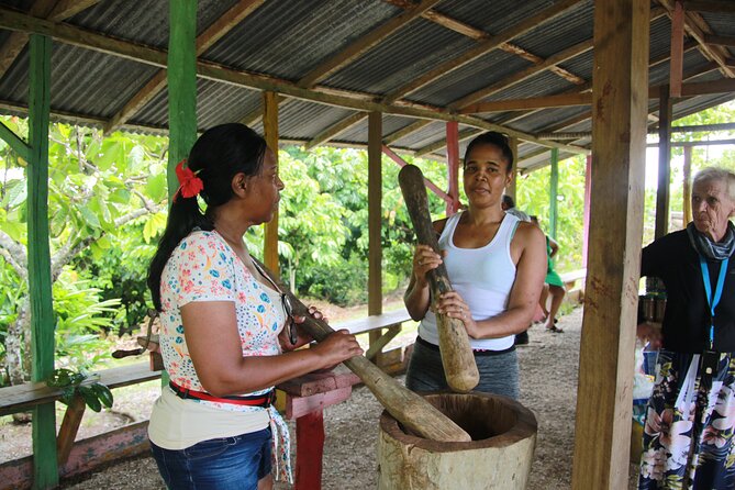 5 Tours of Jungle and Dominican Culture with Lunch - Who this tour suits, and who should think twice
