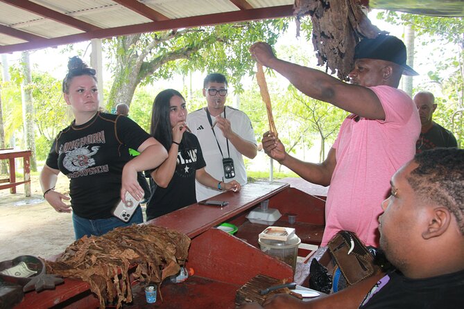 5 Tours of Jungle and Dominican Culture with Lunch - A note on reliability and the one big red flag