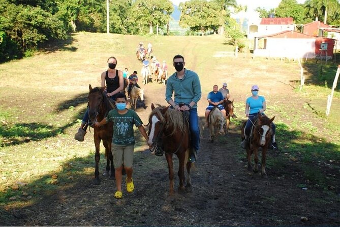 6 in 1 tours Full Day Safari, Zipline, Buggies and Horse Riding - Hacienda morning: countryside driving, cigars, and Mamajuana tasting