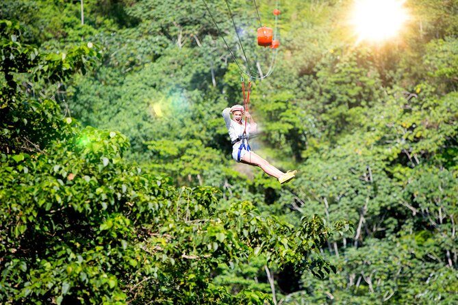 7 Tours Punta Cana: Zipline, Chairlift, ATV, Ride Horses, & More! - Horse riding: beginner-friendly, but still active