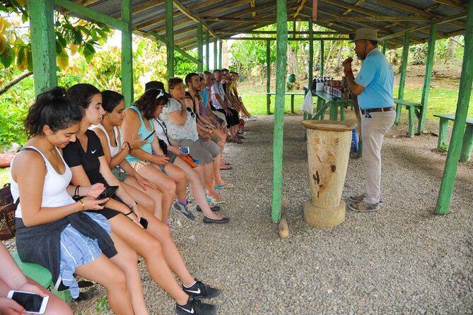 8-Hour Tour Enjoying the Dominican Culture Through the Countryside - Coffee, Chocolate, and Seasonal Fruit Tastings at a Rural House