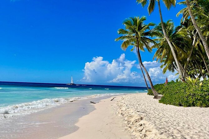 A Magical Day on Saona Island - Key Highlights You Should Know Before You Go