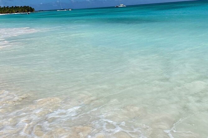 A Magical Day on Saona Island - Saona Island as a Full-Day Reset From Punta Cana