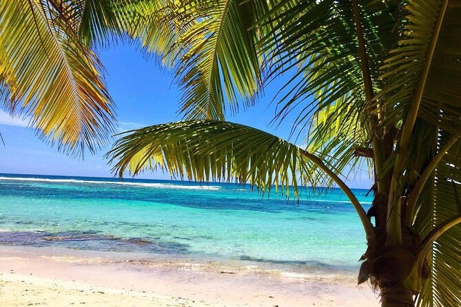A Magical Day on Saona Island - Dominican Buffet Lunch and Open Bar: Fuel for a Long Beach Block