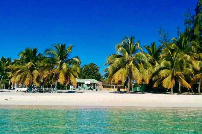 A Magical Day on Saona Island - Catamaran Return to Bayahíbe: Music, Dancing, and a Happier Ride Back