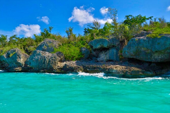 A Magical Day on Saona Island - Who This Saona Tour Fits Best