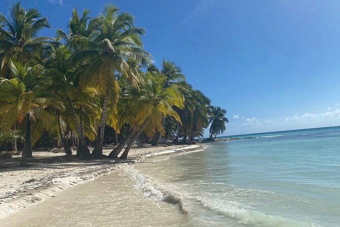 A Magical Day on Saona Island - Hotel Pickup to Bayahíbe: The Morning Is the Easy Part