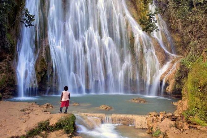 Adventure in the bay of samana and waterfall El limon from punta cana - Quick Key Points Before You Go
