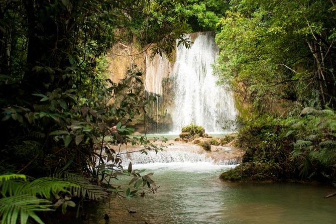 Adventure in the bay of samana and waterfall El limon from punta cana - Santa Barbara de Samaná: the bay intro you need before the beach