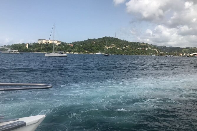 Adventure in the bay of samana and waterfall El limon from punta cana - Drinks, snacks, and what “economical group tour” means in real life