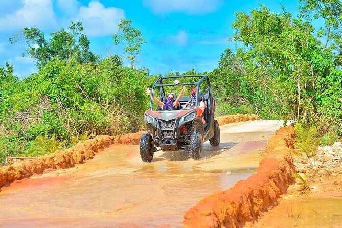 Adventure Tour con Buggies Ziplining Cenote y Taino Culture - Price and value: what $139 per person really covers