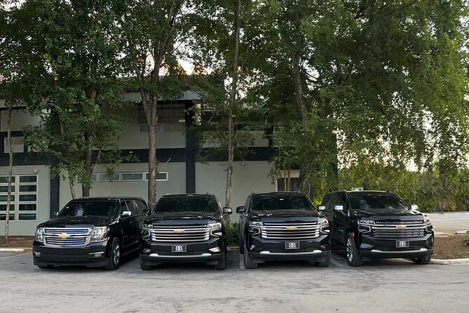 Affordable Private Airport Transfer in Punta Cana - Key Points Before You Go