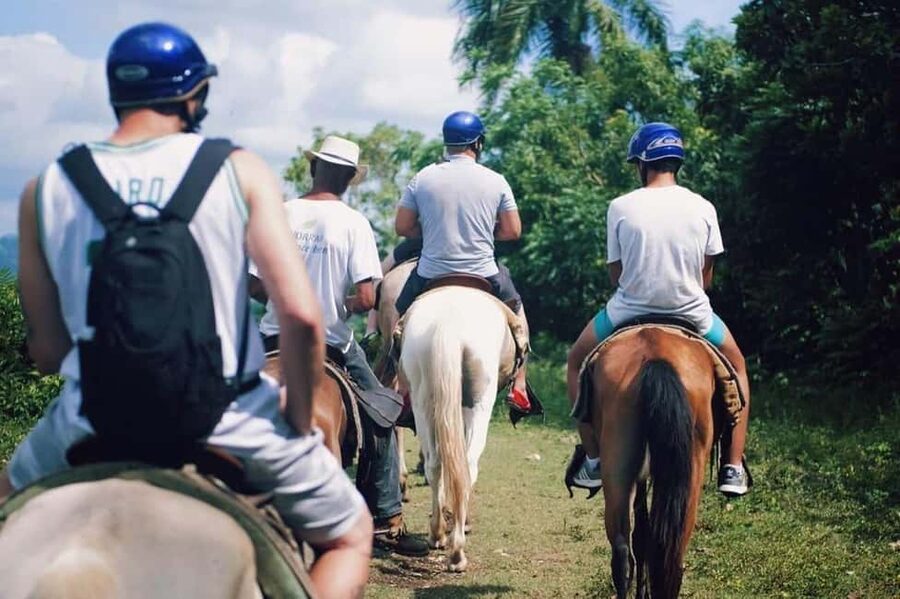 All-Inclusive Day Trip from Punta Cana: DR Culture Immersion - What this 8-hour culture day trip feels like