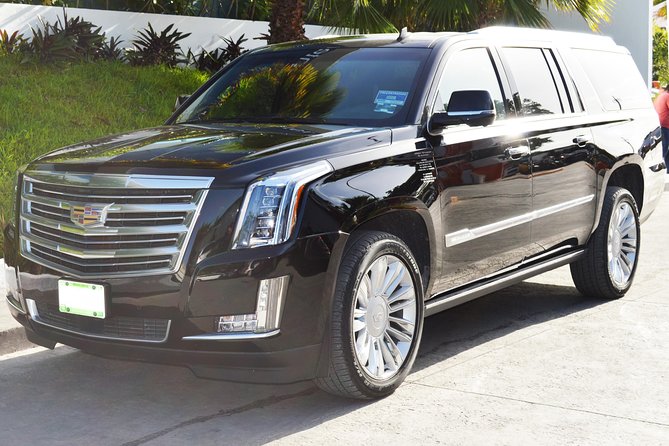 Arrival Luxury Transportation: Punta Cana International Airport to Hotels (1-5) - Door-to-Door Pickup From Punta Cana Airport (PUJ)