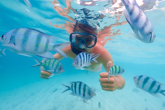Bacardi Island Excursion with Catamaran, Beach and Lunch - Key highlights worth your attention
