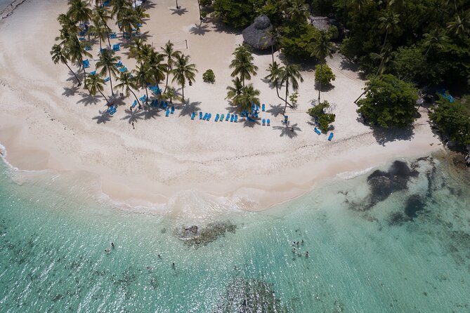 Bacardi Island Excursion with Catamaran, Beach and Lunch - Catamaran cruise in Samaná Bay, what you gain and what you should expect