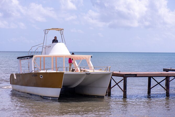 Bacardi Island Excursion with Catamaran, Beach and Lunch - Price check: is $115 a good deal for this day?