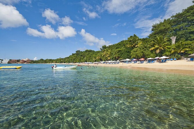Barceló Bávaro Beach - Round Trip Shuttle - Punta Cana Airport - The return trip is the moment to be extra organized