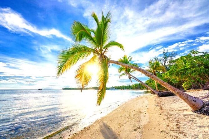 Barceló Bávaro Palace - Round Trip Shuttle - Punta Cana Airport - Why This Private Round Trip Is Such a Smart Punta Cana Start