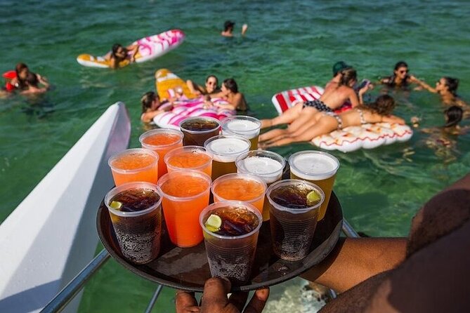 Bavaro Punta Cana EN boat party with drinks and transportation - Stop 1 in Punta Cana: dolphin watching for quick, memorable photos