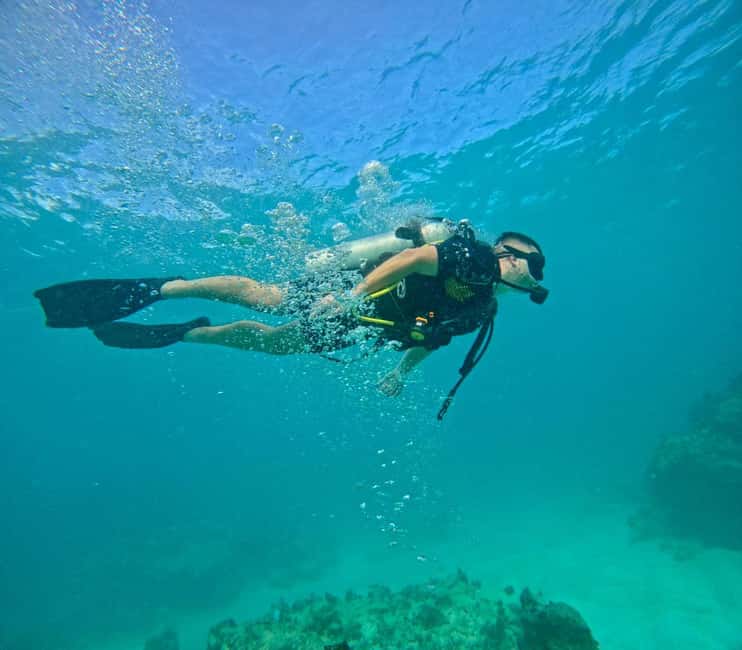 Bávaro: Scuba Diving Experience for Beginners - Why this beginner scuba underwater session feels worth it
