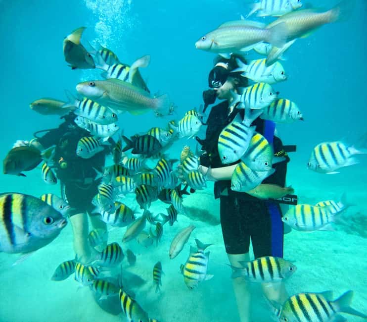 Bávaro: Scuba Diving Experience for Beginners - The 2-hour instructor-led coaching block, and how it helps first-timers