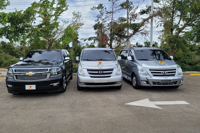 Bávaro To Punta Cana Airport (PUJ) One way - The driver experience: name sign, safety focus, and bilingual help
