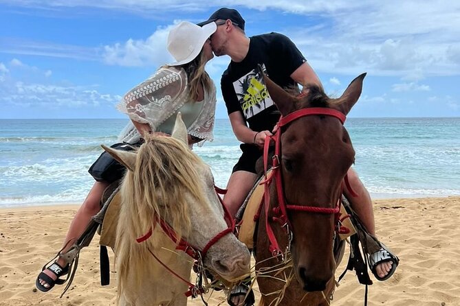Beach Horseback Ride Tour at Punta Cana - Why This Beach Horseback Ride Feels More Real Than Most Excursions