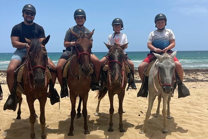 Beach Horseback Ride Tour at Punta Cana - What Happens When You Arrive: The Beach Setup and Saddle Time