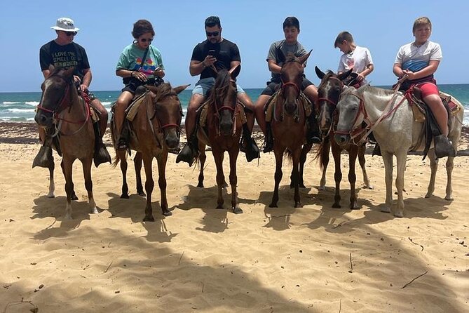 Beach Horseback Ride Tour at Punta Cana - Stops Along the Way: Animals, Photos, and Short Moments of Wonder